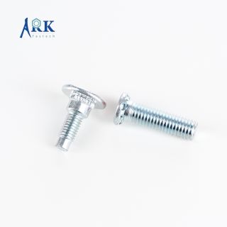 Screw Bolt-Clinch Bolt-5465